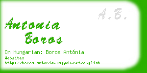 antonia boros business card
