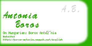 antonia boros business card